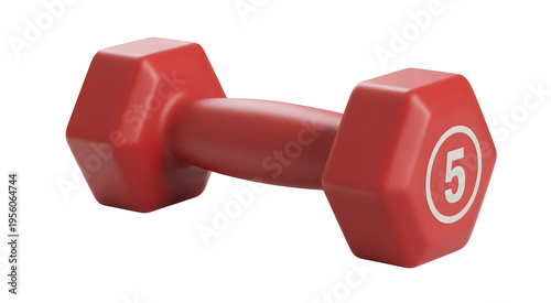 Dumbbell Weight 5 Kg Fitness Equipment Isolated on White Background Gym Workout Training