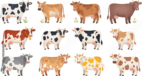 Farm Cow Breeds Collection Vector Illustration Set Featuring Different Cattle Patterns, Dairy Animals, Livestock Varieties and Agricultural Farm Animal Designs