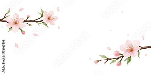 Cherry Blossom Branches with Falling Petals, Elegant Spring Floral Background with Copy Space