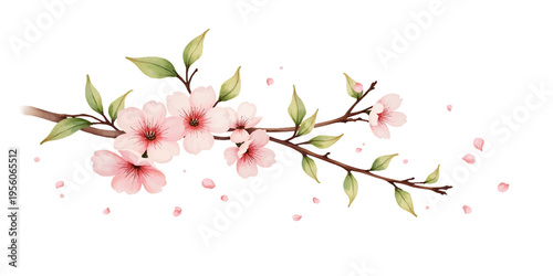Cherry Blossom Branch with Pink Flowers and Leaves, Spring Floral Illustration with Falling Petals