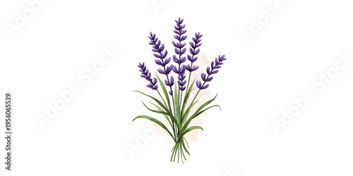 Lavender Flower Bouquet Illustration with Soft Background, Botanical Floral Art