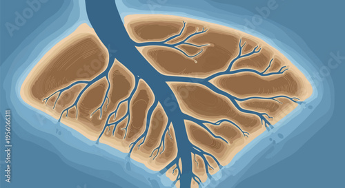 Intricate river delta system viewed from above, showcasing complex branching waterways through textured landforms, surrounded by serene aquatic
