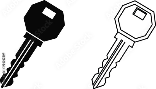 Black and white keys, illustration of two keys Vector