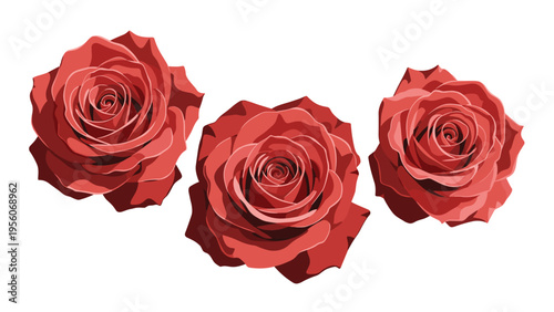 Elegant illustration of three fully bloomed red roses with layered petals and soft highlights on a white background.
