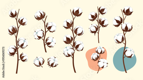 Natural cotton branches with soft white fluffy bolls and brown stems arranged in a clean set against a warm background.