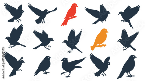Silhouettes of flying birds and perched songbirds in dark blue with two highlight birds in bright red and orange colors.