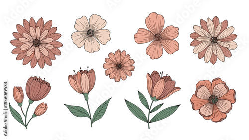 Set of various stylized flowers and stems in soft pink and muted green colors with a hand-drawn line art texture.