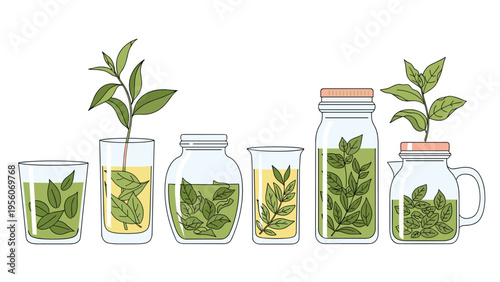 Collection of various glass jars and bottles filled with green leaves and herbal tea preparations in line art style.