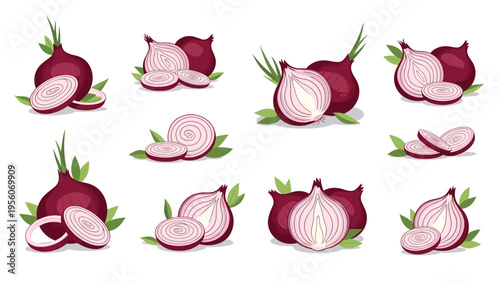 Comprehensive set of red onion illustrations shows various forms including whole bulbs halves slices and rings with small green sprouts.