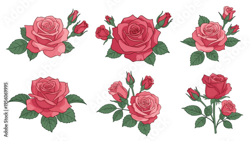 Collection of six detailed rose arrangements features beautiful pink blossoms with green leaves and delicate buds for diverse floral design needs.