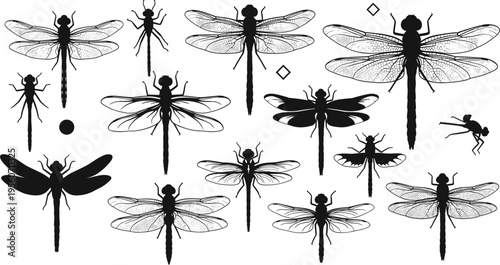 Dragonfly Silhouette and Outline Set with Detailed Wings Insect Shapes and Flying Bugs Collection for Nature Wildlife and Entomology Vector Illustration