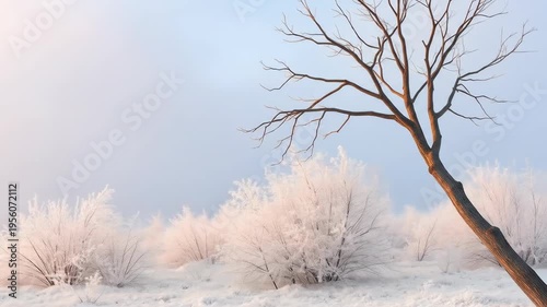 Winter landscape scene with frosted trees and bushes against a soft sky