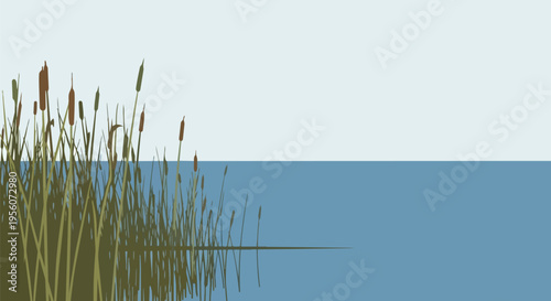 Stylized natural landscape of cattails and reeds beside calm water with clear sky, peaceful aquatic vegetation illustration, tranquil riparian zone,