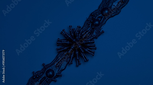 Elegant black lace accessory extends diagonally on deep blue, featuring a radiant beaded floral center adorned with pear