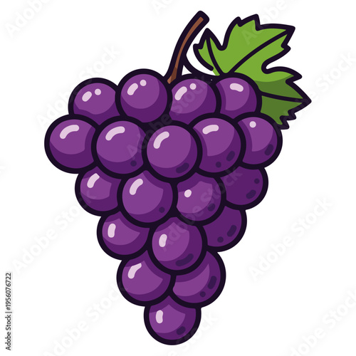 Purple Grape Cluster Cartoon Vector Illustration
