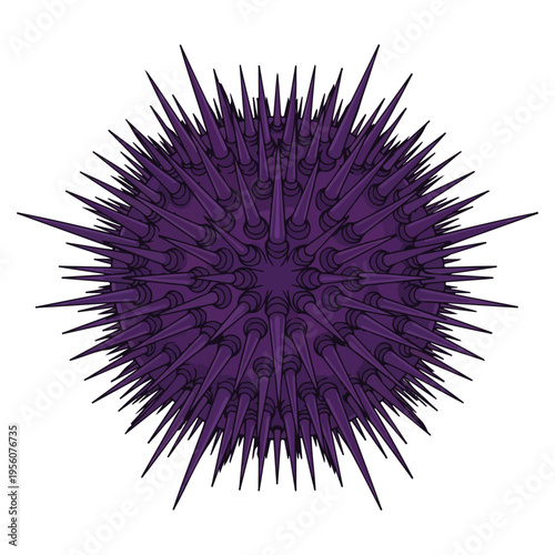 Purple Sea Urchin Flat Line Art Vector Illustration