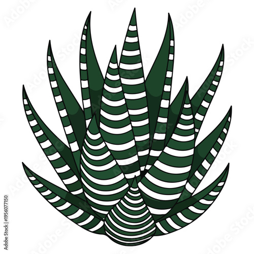 Striped Zebra Haworthia Succulent Flat Vector Illustration