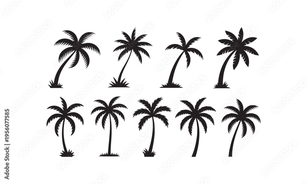 Fototapeta premium Palm Tree Silhouette Set, Tropical Coconut Tree Vector Icons Collection, Summer Beach Nature Clipart