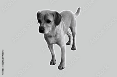 Photocopy of dog for collage. Paper cutout, friendly puppy. Contemporary art scrapbook. Sticker  pet on torn paper from an old magazine. Halftone dots style, vector illustration.