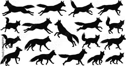 Fox animal silhouette collection set, running jumping and standing wild fox poses, wildlife vector illustration pack