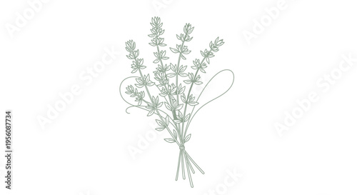 Bunch of dried lavender flowers.