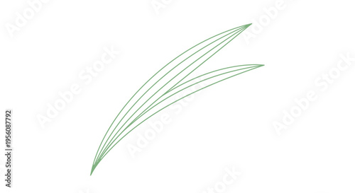 Green leaf with pointed tip.