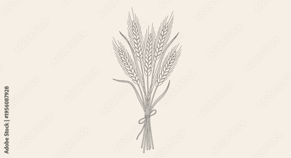 Fototapeta premium A bundle of wheat tied together.