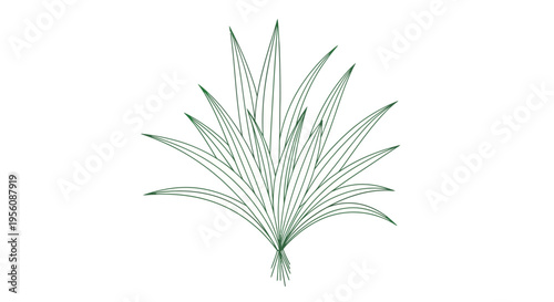 Detailed illustration of green plant leaves.