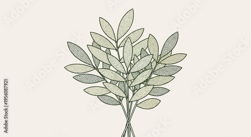 Detailed illustration of olive branch.