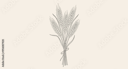 A bundle of wheat tied together.