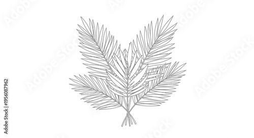 Detailed illustration of a fern leaf.