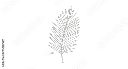 Detailed illustration of a single feather.