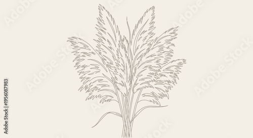 Detailed drawing of a plant.
