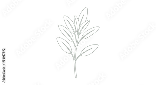 Simple line drawing of a leaf.