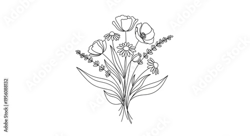 Tulips flowers bouquet line art drawing.