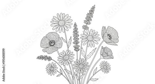 Variety of Wildflowers and Floral Blooms.