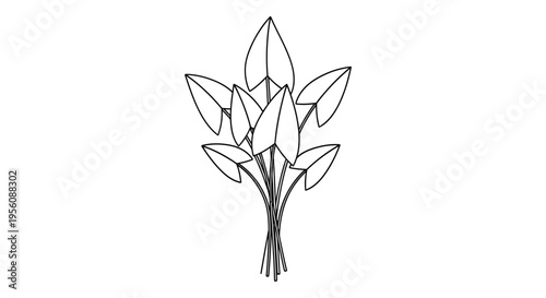 Drawing of a Bunch of Leaves.