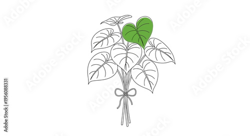 Bouquet of green heart shaped leaves.