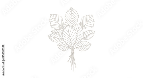 Detailed drawing of a leafy branch.