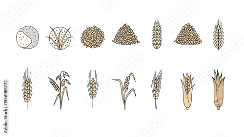 Comprehensive set of icons representing different grains, seeds, and wheat stalks is arranged in two rows on a white background.