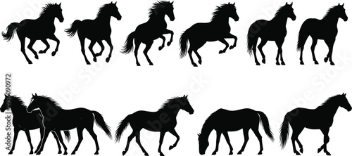 Black horse silhouettes collection featuring wild stallions running, jumping, rearing, and grazing in various majestic poses, isolated vector illustrations for equestrian sports and nature designs.