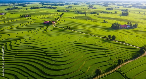 Wallpaper Mural Lush green terraced rice fields with trees and houses aerial view landscape Torontodigital.ca