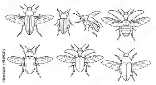 Fireflies in different poses and angles