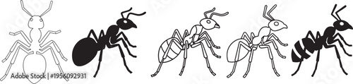 Illustrations of different types of ants and an insect resembling a winged ant