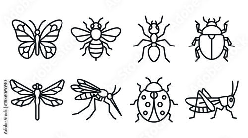 A group of insect illustrations features a butterfly, bee, ant, and beetle represented by detailed black contour lines.