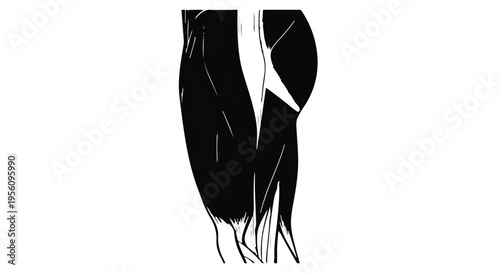 Black and white illustration of broken or separated legs, symbolizing division, conflict, or mental health, with abstract artistic style