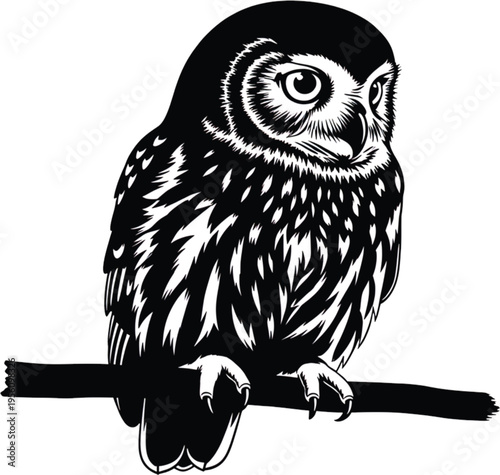 Stylized black and white illustration of an owl perched on a branch, a vector graphic depicting a wise nocturnal bird