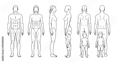 Human body outline templates vector male female child anatomical views set