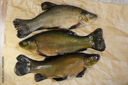 Three raw tench fish arranged on a piece of brown paper.