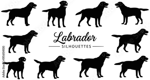 Black silhouette illustration of Labrador dogs in multiple standing poses with stylized text highlighting breed features for design use